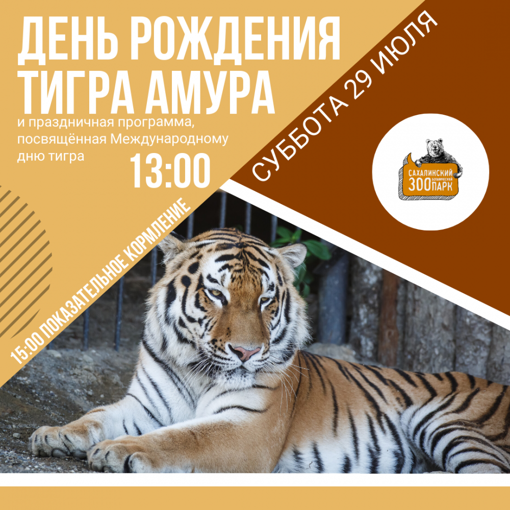 #shorts Говорящая открытка поздравление тигра с Днем Рождения