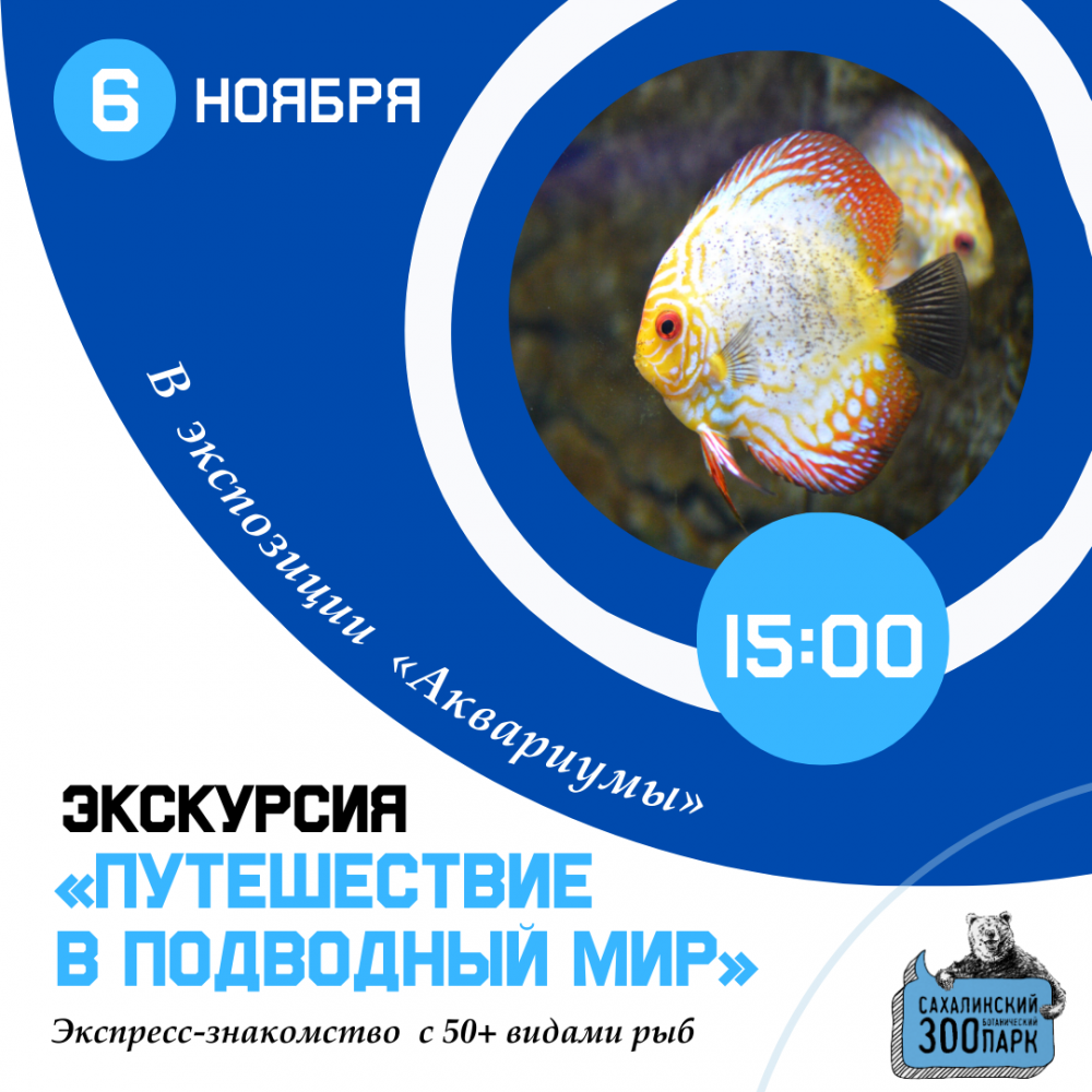 Устройте себе экспресс-знакомство с 50+ видами рыб. Новости - cахалинский  зооботанический парк.